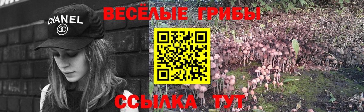 Псилоцибиновые грибы Psilocybine cubensis Нефтекумск