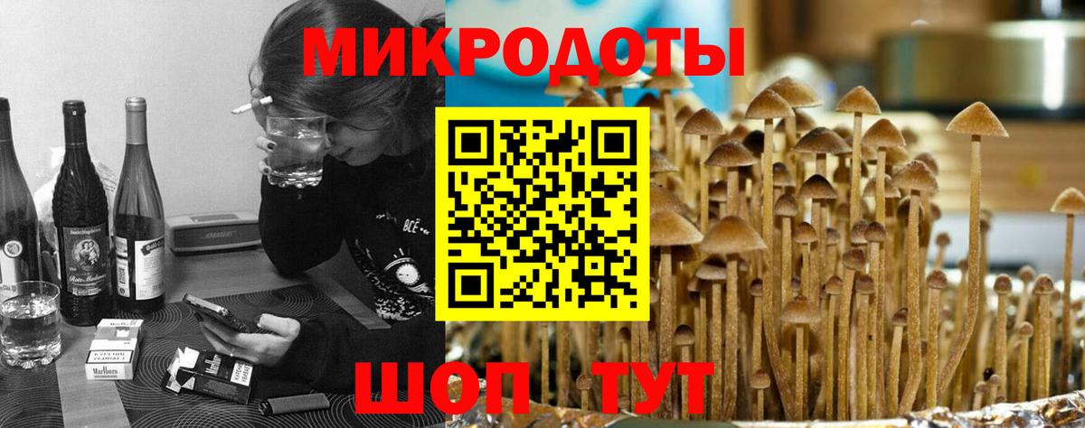 Псилоцибиновые грибы мицелий  Вход с VPN  Галлюциногенные грибы мицелий  Нефтекумск 